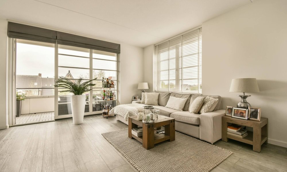Cozy living room interior in modern apartment
